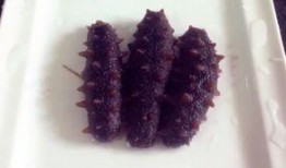 即食海参爆料怎么做的视频,轻松掌握美味海参烹饪技巧