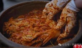 四川酸菜爆料视频播放大全,酸爽滋味，一网打尽！