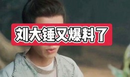 刘大锤周三最新爆料视频,周三最新爆料视频深度解析