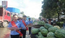 长春吃瓜最新事件爆料新闻,揭秘最新爆料背后的真相与争议